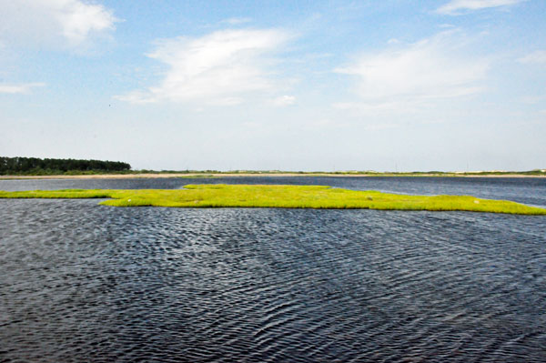 view from the viewing tower